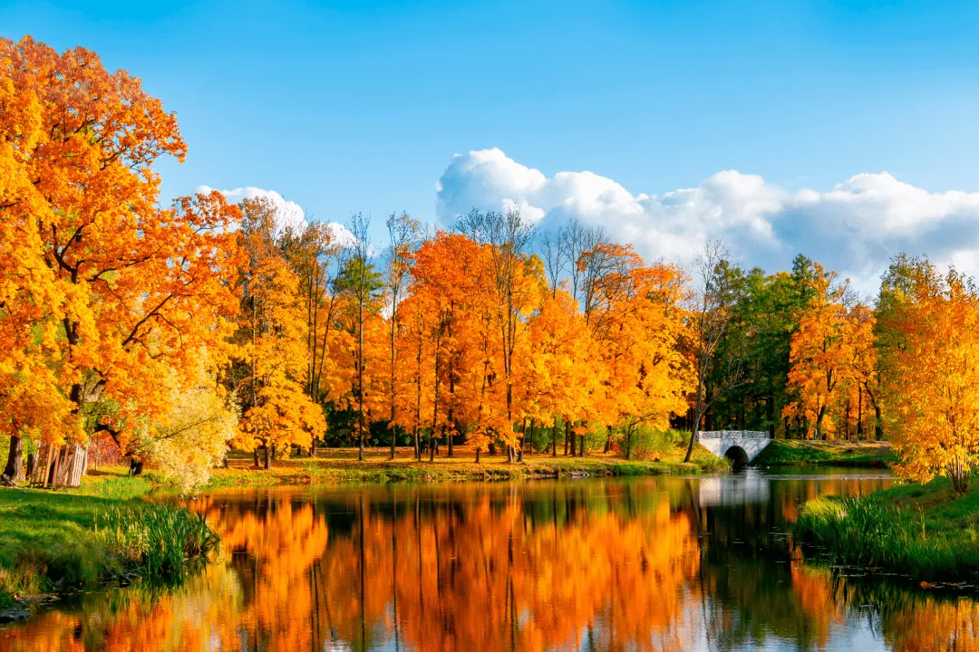 Куда поехать в октябре