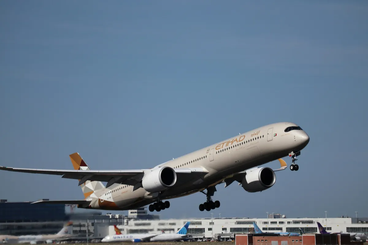 Правила провоза багажа и ручной клади Etihad