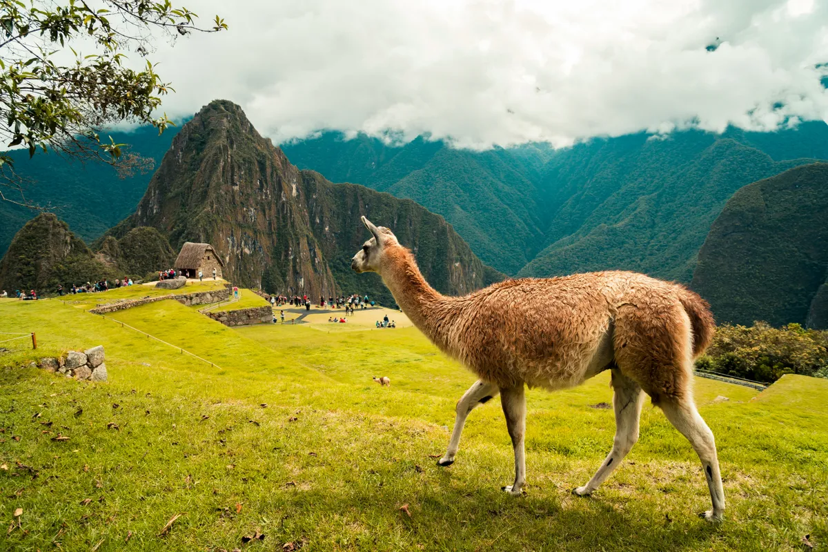 Кто такой этичный турист и как им стать
