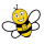 RR