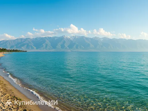 Тамчы