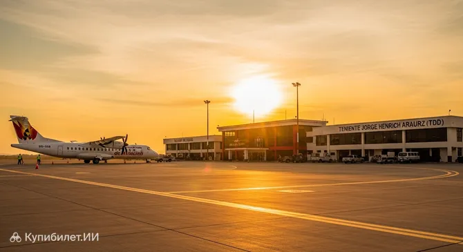 Аэропорт имени Теньенте Хорхе Энрих Араус