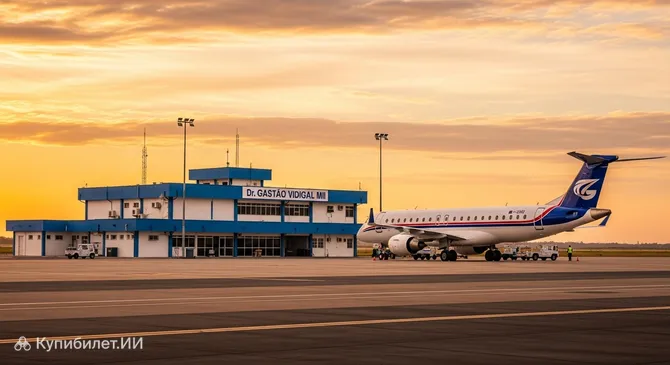 Аэропорт имени доктора Гастау Видигала