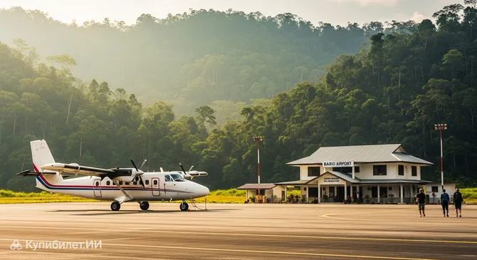 Аэропорт Барьо