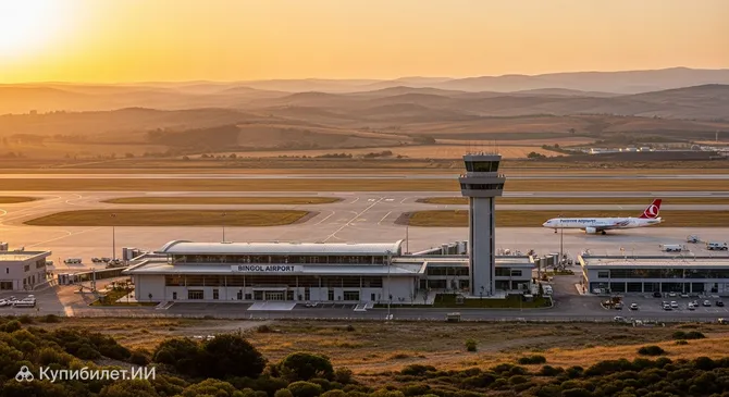 Аэропорт Бингёль