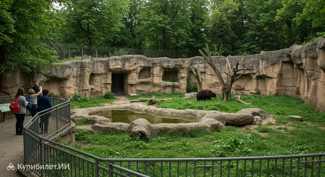 Медвежий стол