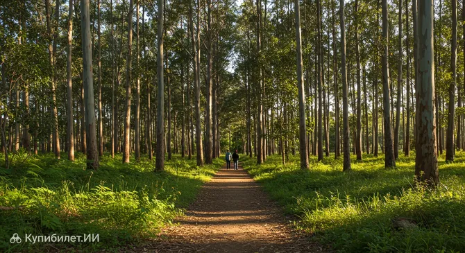 Лесной заповедник Перельта Рамос