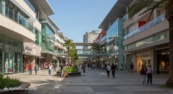 Альто Росарио Шоппинг