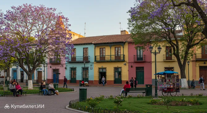 Пласа Маторрас