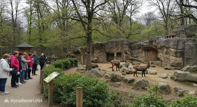 Зоопарк Зальцбурга