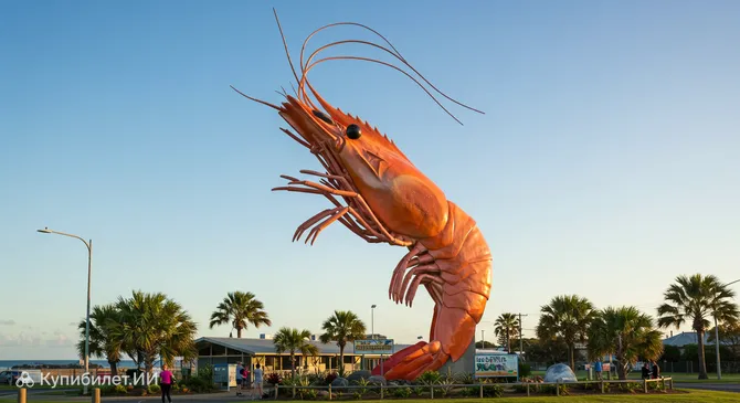 Большая креветка