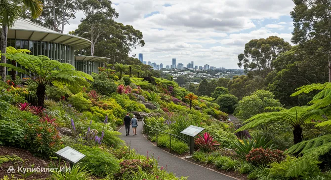 Ботанические сады Брисбена на горе Кута