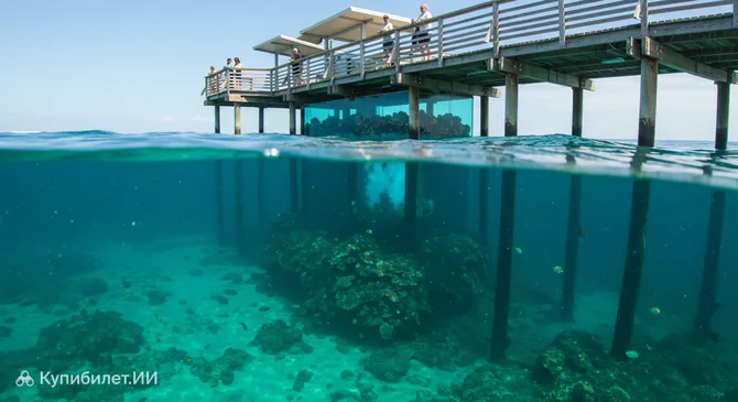 Подводная обсерватория Басселтона