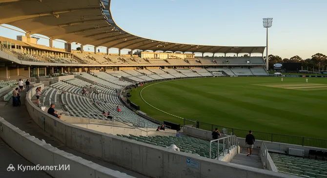 Манука Овал