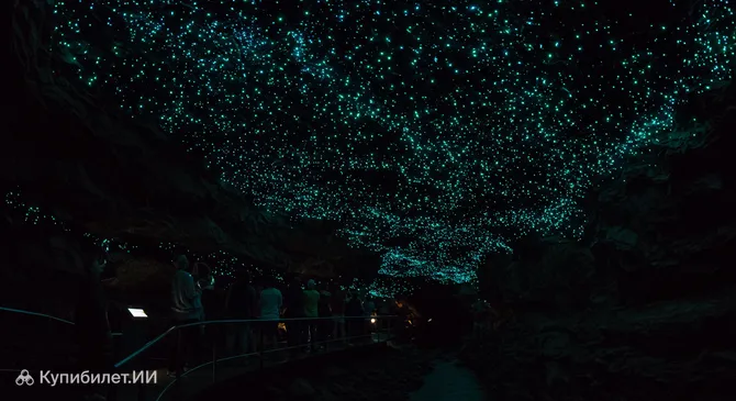 Пещеры светлячков