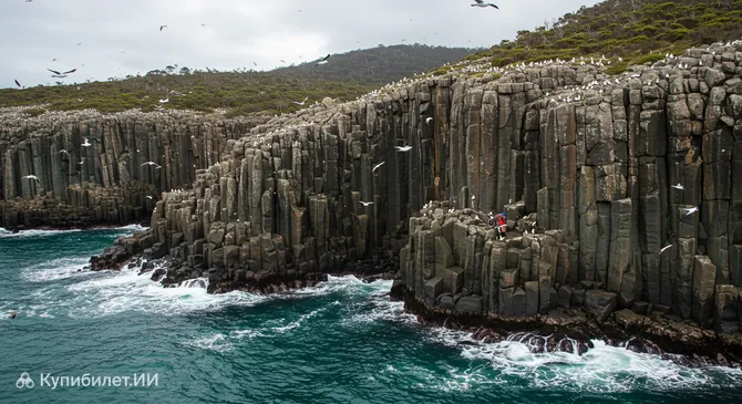 Круизы по дикой природе острова Бруни