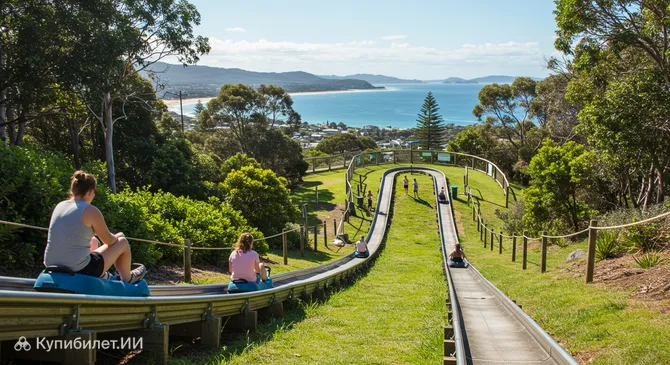 Парк Тобогган Хилл