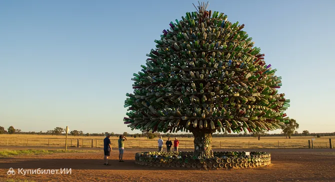 Самое большое бутылочное дерево Ромы