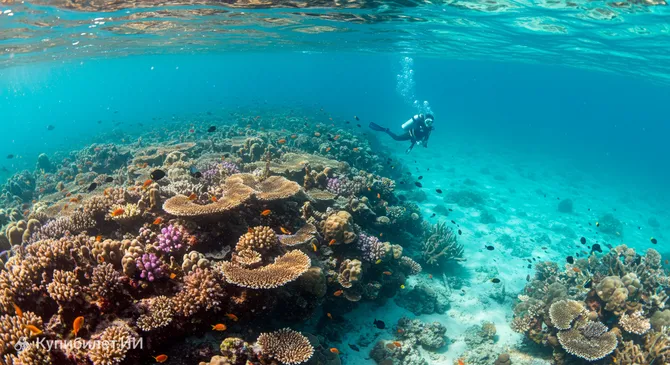 Большой Барьерный риф (морской парк)