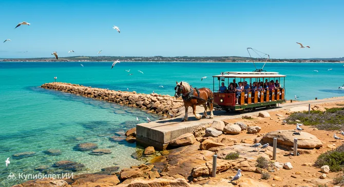 Трамвай на конной тяге Виктор-Харбор