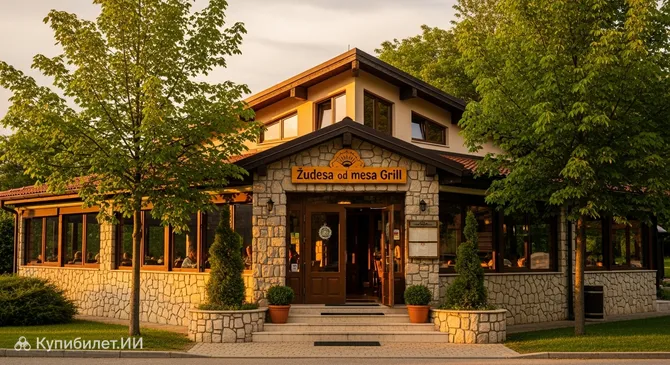 Гриль Чудеса от мяса