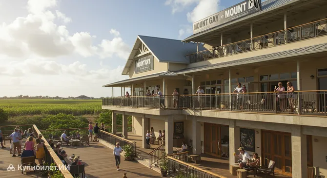 Центр посетителей Mount Gay