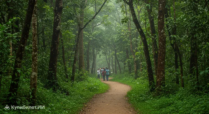 Парк Джамбори