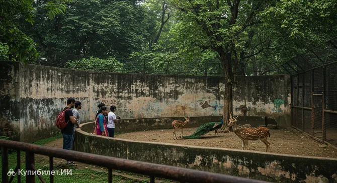 Мини-зоопарк Савар