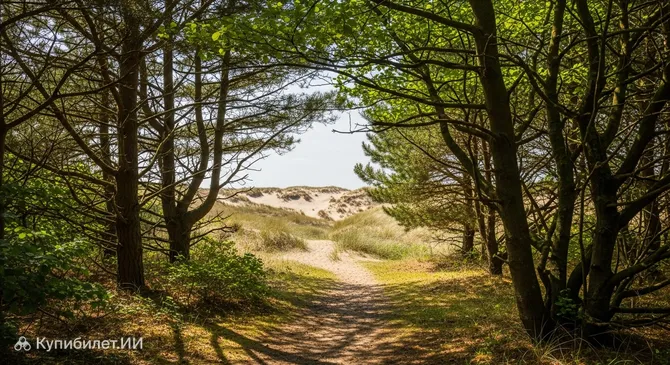 Калмейнбос