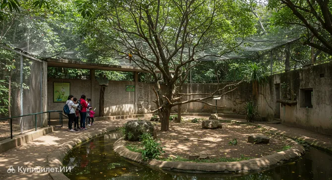 Муниципальный зоопарк Ноэля Кемпфа Меркадо