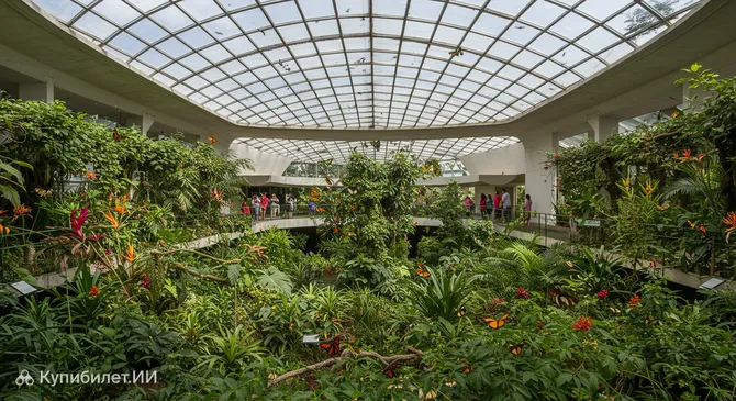 Дом бабочек