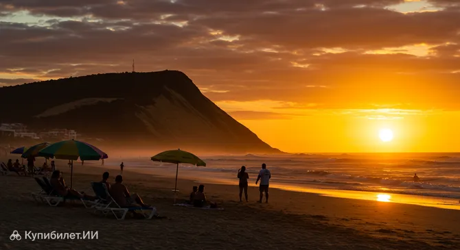 Закат Аллигатора