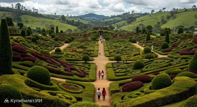 Парк Амантикир