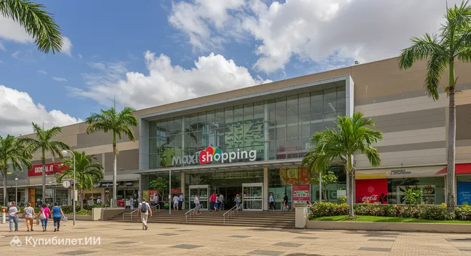 Макси Шоппинг