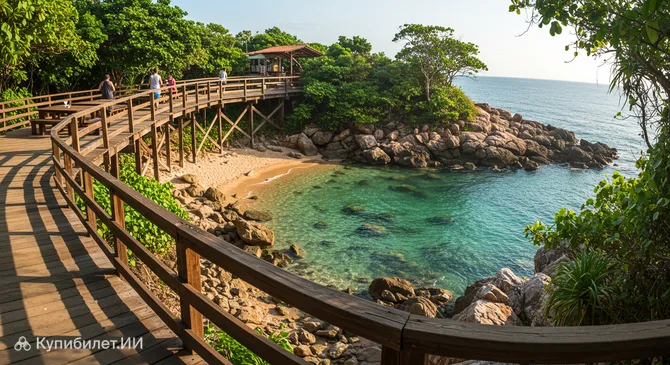 Дек Арасатиба