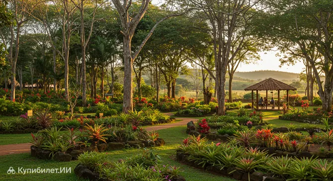 Лесной сад Рондонополиса