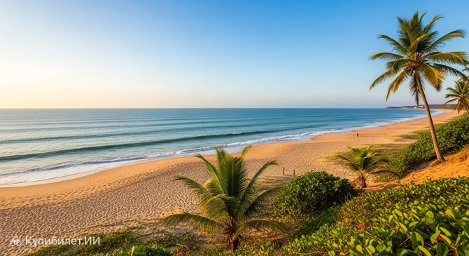 Прайя-да-Гия