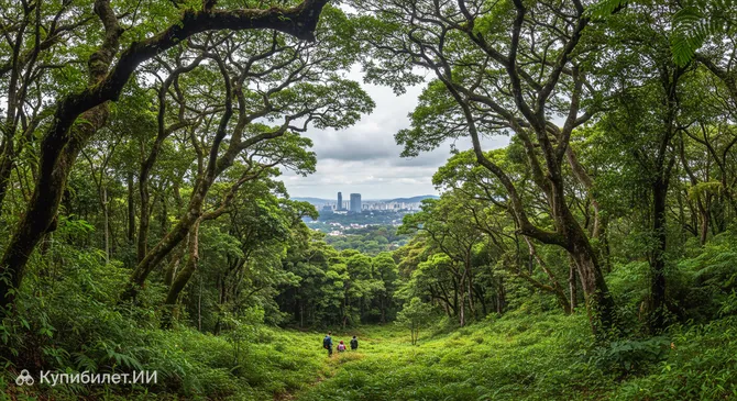 Государственный парк Жарагуá