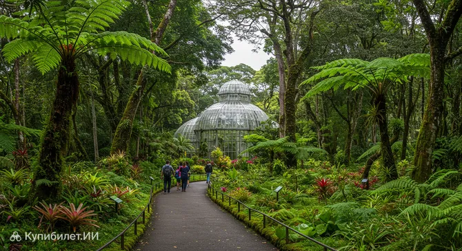 Ботанический сад Сан-Паулу