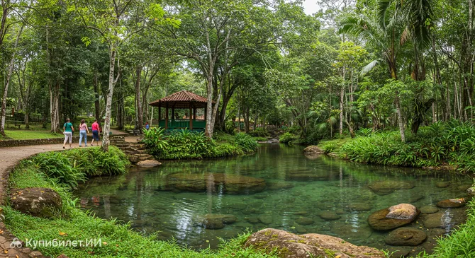 Парк Источник Санто Агостинью