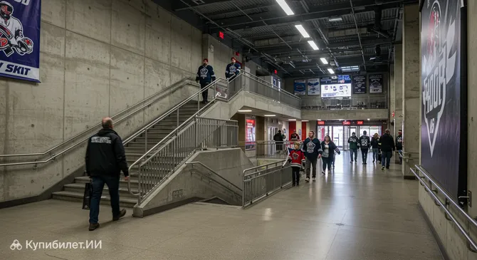 Арена Белвилля