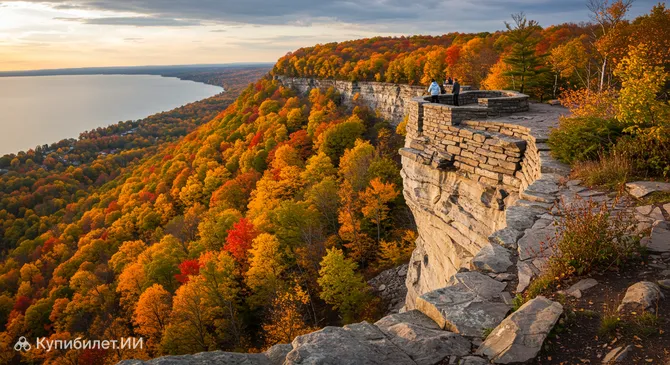 Природоохранная зона Бимер Мемориал