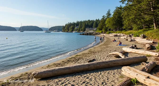 Парк Трансфер-Бич