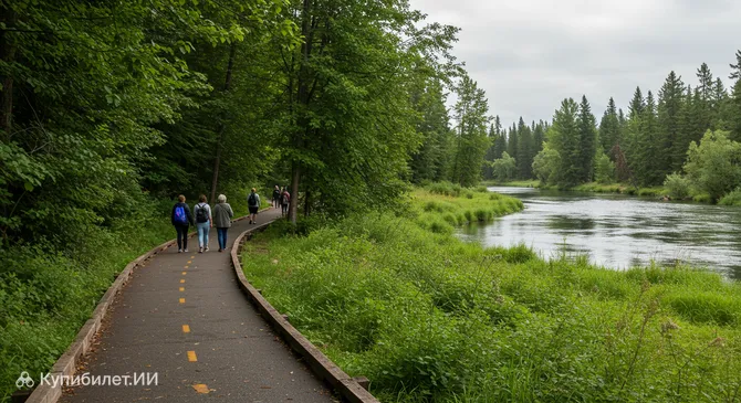 Парк природы Коттонвуд-Айленд