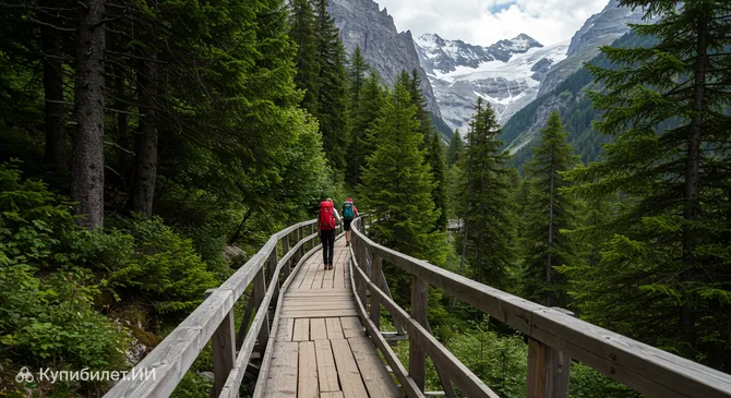 Беличья тропа в Арозе