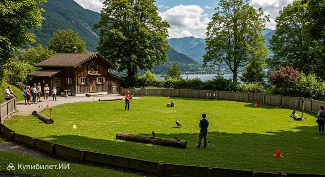 Фалконерия Локарно