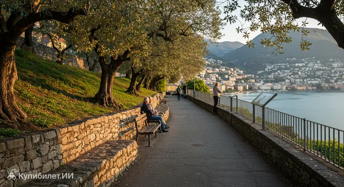 Оливковая тропа