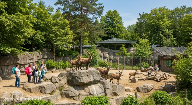 Цюрихский зоопарк