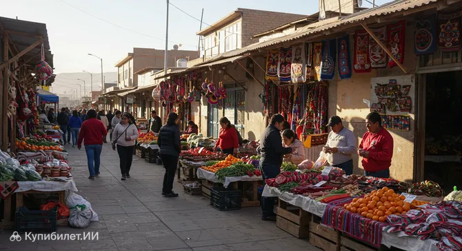 Рынок Терминал ASOCAPEC