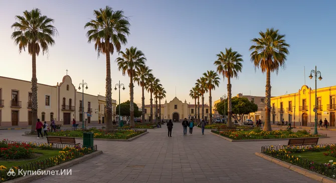 Площадь Викунья Маккенна